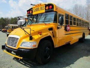 Yellow Coach Image Assembly