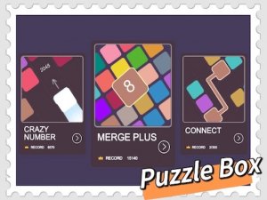 Mini Puzzle Collection Box