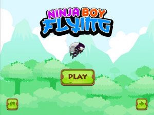 Ninja Flying Boy Adventure Game
