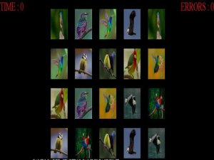 Memorize the Birds Online Game