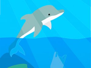 Dolphin Life Online Game
