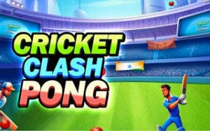 Cricket Paddle Sports Clash