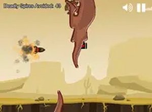 Sky Canyon Navigator